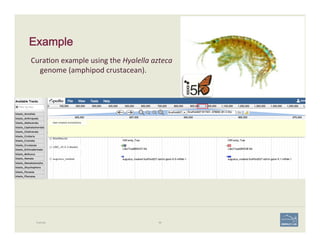 Example
Example 69
	
  Cura'on	
  example	
  using	
  the	
  Hyalella	
  azteca	
  
genome	
  (amphipod	
  crustacean).	
  
 