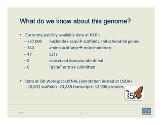 What do we know about this genome?
•  Currently	
  publicly	
  available	
  data	
  at	
  NCBI:	
  
•  >37,000	
   	
  nucleo'de	
  seqsà	
  scaﬀolds,	
  mitochondrial	
  genes	
  
•  344	
   	
  amino	
  acid	
  seqsà	
  mitochondrion	
  
•  47 	
   	
  ESTs	
  
•  0	
   	
   	
  conserved	
  domains	
  iden'ﬁed	
  
•  0 	
   	
  “gene”	
  entries	
  submi;ed	
  
	
  
•  Data	
  at	
  i5K	
  Workspace@NAL	
  (annota'on	
  hosted	
  at	
  USDA)	
  	
  
-­‐	
  10,832	
  scaﬀolds:	
  23,288	
  transcripts:	
  12,906	
  proteins	
  
Example 70
 
