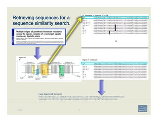 Retrieving sequences for a  
sequence similarity search.
Example 74
>vgsc-­‐Segment3-­‐DomainII	
  
RVFKLAKSWPTLNLLISIMGKTVGALGNLTFVLCIIIFIFAVMGMQLFGKNYTEKVTKFKWSQDG
QMPRWNFVDFFHSFMIVFRVLCGEWIESMWDCMYVGDFSCVPFFLATVVIGNLVVSFMHR
 