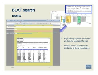BLAT search 
 
results	
  
Example 76
•  High-­‐scoring	
  segment	
  pairs	
  (hsp)	
  
are	
  listed	
  in	
  tabulated	
  format.	
  
•  Clicking	
  on	
  one	
  line	
  of	
  results	
  
sends	
  you	
  to	
  those	
  coordinates.	
  
 