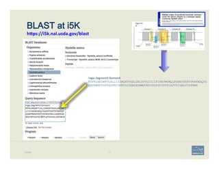 BLAST at i5K  
heps://i5k.nal.usda.gov/blast
Example 77
>vgsc-­‐Segment3-­‐DomainII	
  
RVFKLAKSWPTLNLLISIMGKTVGALGNLTFVLCIIIFIFAVMGMQLFGKNYTEKVTKFKWSQDG
QMPRWNFVDFFHSFMIVFRVLCGEWIESMWDCMYVGDFSCVPFFLATVVIGNLVVSFMHR
 