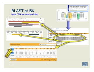 BLAST at i5K  
heps://i5k.nal.usda.gov/blast	
  
Example 78
 