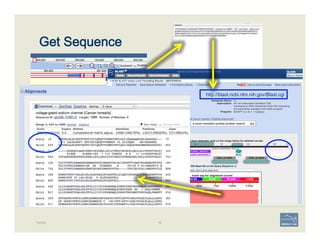 Get Sequence
Example 82
http://blast.ncbi.nlm.nih.gov/Blast.cgi
 