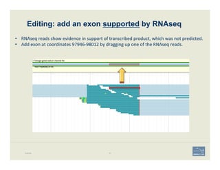 Editing: add an exon supported by RNAseq
Example 91
•  RNAseq	
  reads	
  show	
  evidence	
  in	
  support	
  of	
  transcribed	
  product,	
  which	
  was	
  not	
  predicted.	
  
•  Add	
  exon	
  at	
  coordinates	
  97946-­‐98012	
  by	
  dragging	
  up	
  one	
  of	
  the	
  RNAseq	
  reads.	
  
 