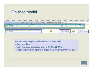 Finished model
Example 94
Corroborate	
  integrity	
  and	
  accuracy	
  of	
  the	
  model:	
  	
  
-­‐	
  Start	
  and	
  Stop	
  
-­‐	
  Exon	
  structure	
  and	
  splice	
  sites	
  …]5’-­‐GT/AG-­‐3’[…	
  
-­‐	
  Check	
  the	
  predicted	
  protein	
  product	
  vs.	
  NCBI	
  nr,	
  UniProt,	
  etc.	
  
 