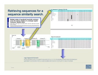 Retrieving sequences for a  
sequence similarity search.
Example 74
>vgsc-­‐Segment3-­‐DomainII	
  
RVFKLAKSWPTLNLLISIMGKT...