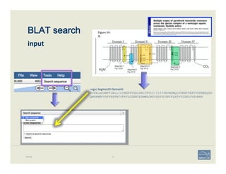 BLAT search 
 
input	
  
Example 75
>vgsc-­‐Segment3-­‐DomainII	
  
RVFKLAKSWPTLNLLISIMGKTVGALGNLTFVLCIIIFIFAVMGMQLFGKNYTE...