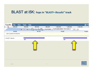 BLAST at i5K: hsps	
  in	
  “BLAST+	
  Results”	
  track	
  
Example 79
 