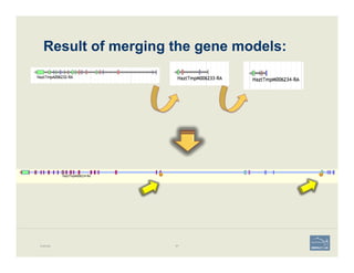 Result of merging the gene models:
Example 87
 