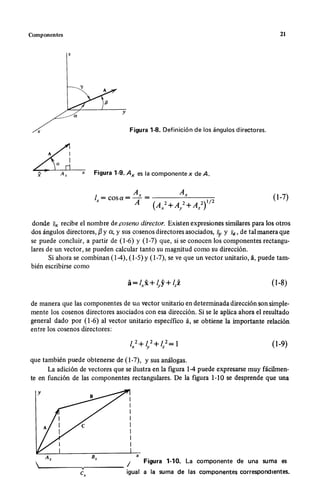 Wangness electromagnetismo (spanish)