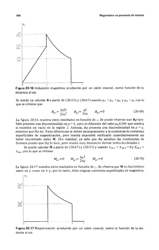 Wangness electromagnetismo (spanish)