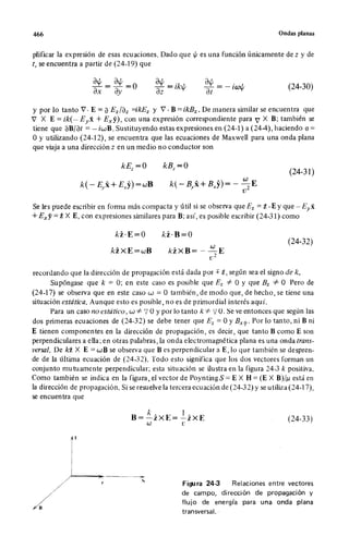 Wangness electromagnetismo (spanish)