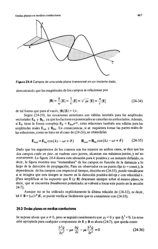 Wangness electromagnetismo (spanish)