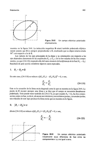 Wangness electromagnetismo (spanish)