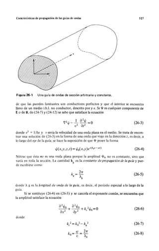 Wangness electromagnetismo (spanish)