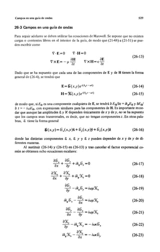 Wangness electromagnetismo (spanish)