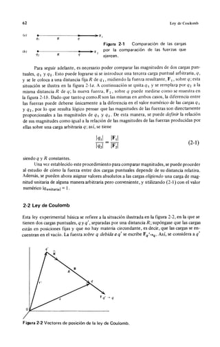 Wangness electromagnetismo (spanish)