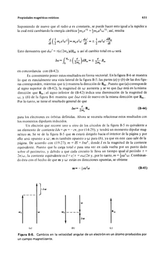 Wangness electromagnetismo (spanish)