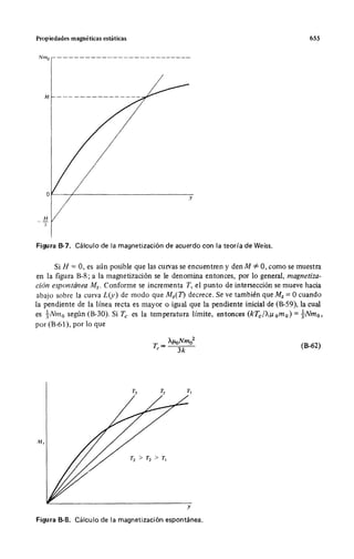 Wangness electromagnetismo (spanish)