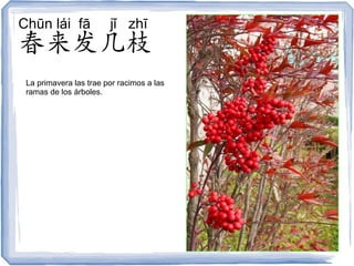 Chūn lái fā             jǐ zhī
春来发几枝
 La primavera las trae por racimos a las
 ramas de los árboles.
 