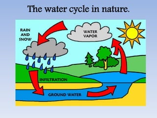 The water cycle in nature.
 