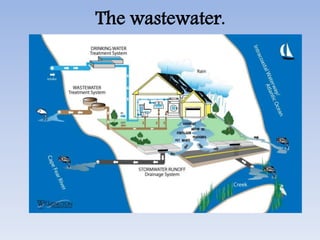 The wastewater.
 