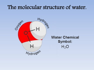 The molecular structure of water.
 