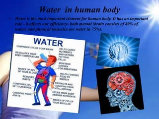 Water in human body
• Water is the most important element for human body. It has an important
role - it affects our efficiency- both mental (brain consists of 80% of
water) and physical (muscles are water in 75%).
 