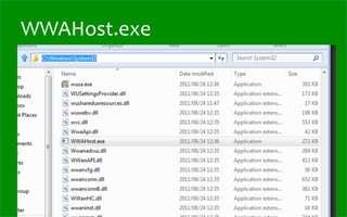 WWAHost.exe
 