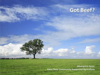 Got Beef?




                          Silverpoint Farm:
Dairy Steer Community Supported Agriculture
 