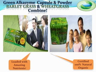 Green Alkazyme Capsule & Powder
 BARLEY GRASS & WHEATGRASS
            Combine!




                                    Certified
                                  100% Natural
                                     Organic
 
