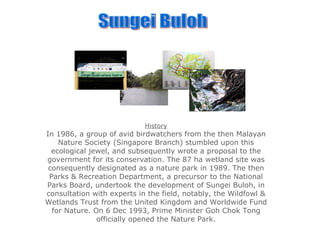 Sungei Buloh History In 1986, a group of avid birdwatchers from the then Malayan Nature Society (Singapore Branch) stumbled upon this ecological jewel, and subsequently wrote a proposal to the government for its conservation. The 87 ha wetland site was consequently designated as a nature park in 1989. The then Parks & Recreation Department, a precursor to the National Parks Board, undertook the development of Sungei Buloh, in consultation with experts in the field, notably, the Wildfowl & Wetlands Trust from the United Kingdom and Worldwide Fund for Nature. On 6 Dec 1993, Prime Minister Goh Chok Tong officially opened the Nature Park. 