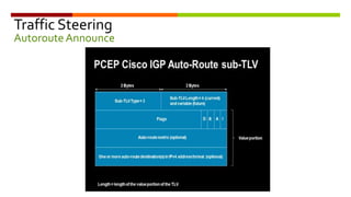 Traffic Steering
AutorouteAnnounce
 
