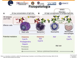 Fisiopatología
Reber, L. L., Hernandez, J. D., & Galli, S. J. (2017). The pathophysiology of anaphylaxis. Journal of Allergy and Clinical Immunology, 140(2), 335–348.
https://doi.org/10.1016/j.jaci.2017.06.003
AINES
Múridos
PAF-AH
Dra. Santoyo
CRAIC Mty
 
