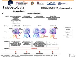 Fisiopatología
Reber, L. L., Hernandez, J. D., & Galli, S. J. (2017). The pathophysiology of anaphylaxis. Journal of Allergy and Clinical Immunology, 140(2), 335–348.
https://doi.org/10.1016/j.jaci.2017.06.003
DIFÍCIL SU ESTUDIO → Pruebas prospectivas
Mediadores:
Triptasa
Histamina
PAF
PGD2
4 mecanismos
Dra. Santoyo
CRAIC Mty
 