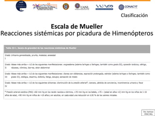 Escala de Mueller
Reacciones sistémicas por picadura de Himenópteros
Clasificación
Dra. Santoyo
CRAIC Mty
 