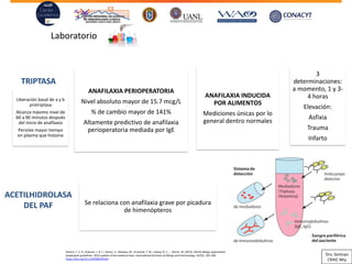 Laboratorio
ANAFILAXIA PERIOPERATORIA
Nivel absoluto mayor de 15.7 mcg/L
% de cambio mayor de 141%
Altamente predictivo de anafilaxia
perioperatoria mediada por IgE
ANAFILAXIA INDUCIDA
POR ALIMENTOS
Mediciones únicas por lo
general dentro normales
3
determinaciones:
a momento, 1 y 3-
4 horas
Elevación:
Asfixia
Trauma
Infarto
Se relaciona con anafilaxia grave por picadura
de himenópteros
TRIPTASA
ACETILHIDROLASA
DEL PAF
Simons, F. E. R., Ardusso, L. R. F., Dimov, V., Ebisawa, M., El-Gamal, Y. M., Lockey, R. F., … Worm, M. (2013). World allergy organization
anaphylaxis guidelines: 2013 update of the evidence base. International Archives of Allergy and Immunology, 162(3), 193–204.
https://doi.org/10.1159/000354543
Liberación basal de a y b
protriptasa
Alcanza máximo nivel de
60 a 90 minutos después
del inicio de anafilaxia
Persiste mayor tiempo
en plasma que histaina
Dra. Santoyo
CRAIC Mty
 