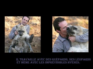 Il travaille avec des guépards, des léopards et même avec les imprévisibles hyènes.