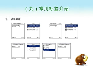 （九）常用标签介绍 选择列表 