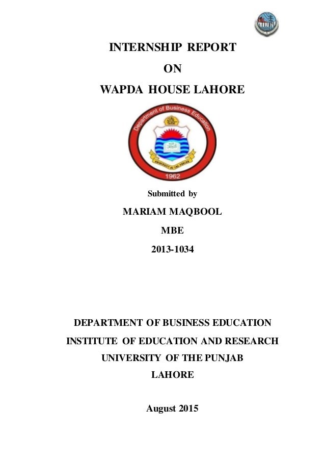 Wapda internship report