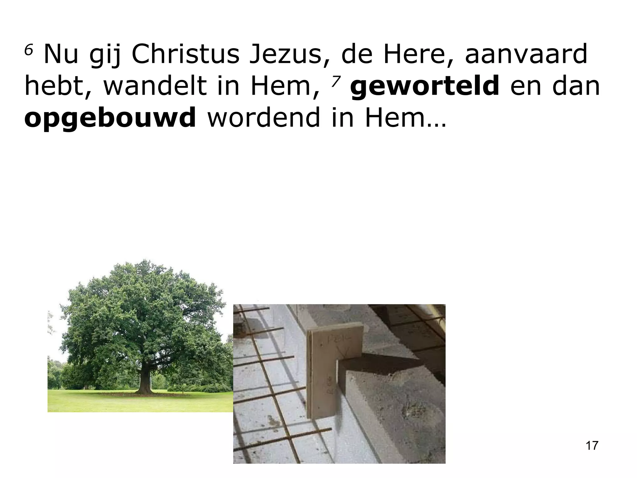 6  Nu gij Christus Jezus, de Here, aanvaard hebt, wandelt in Hem,  7   geworteld  en dan  opgebouwd  wordend in Hem… 