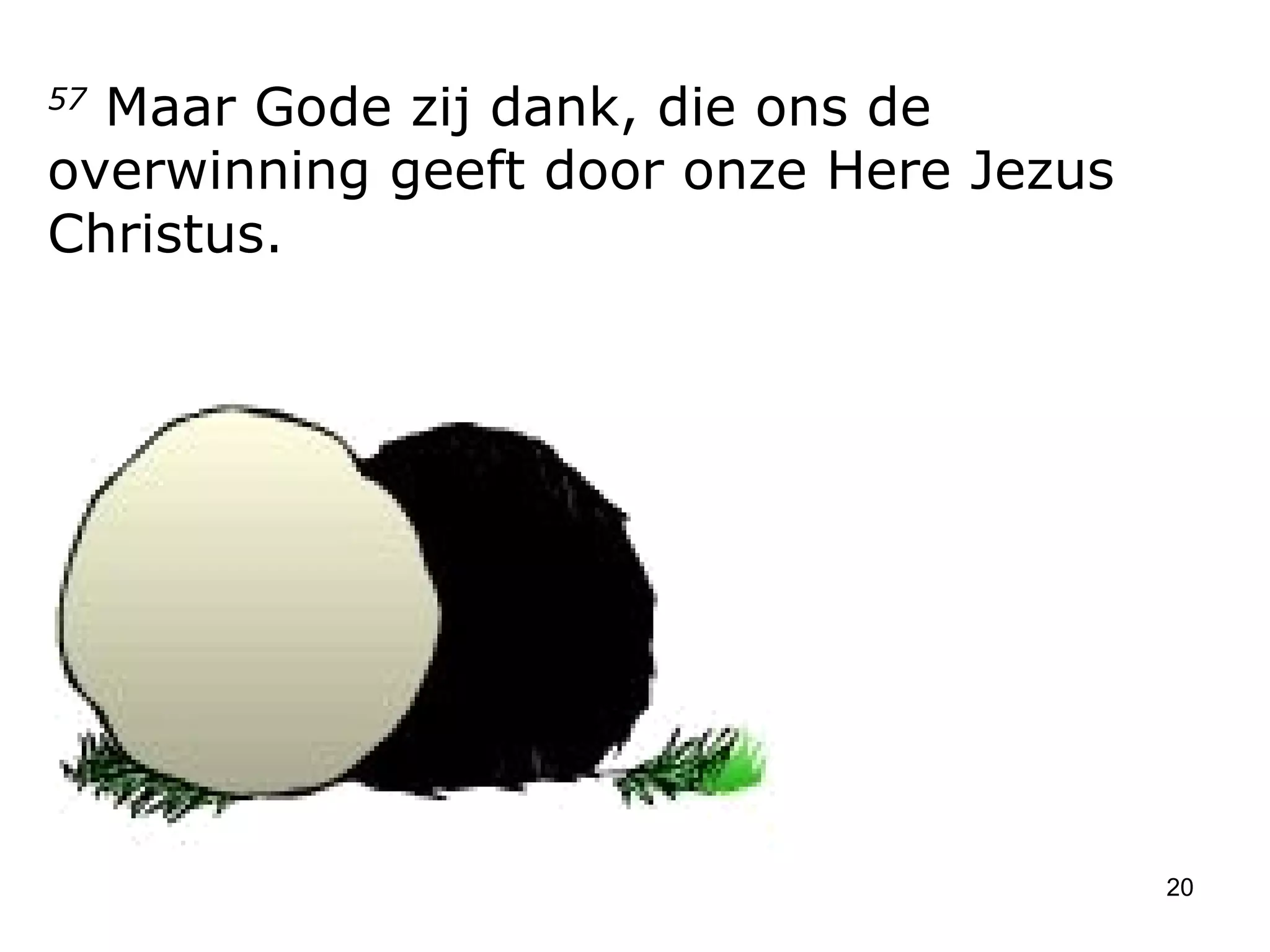 57  Maar Gode zij dank, die ons de overwinning geeft door onze Here Jezus Christus.  