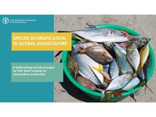 SPECIES DIVERSIFICATION
IN GLOBAL AQUACULTURE
A forthcoming technical paper
for FAO WAPI module on
aquaculture production
 