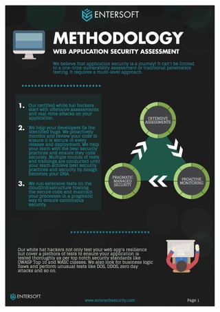 Web app security testing