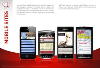 Wa Pz Sales Kit Extended