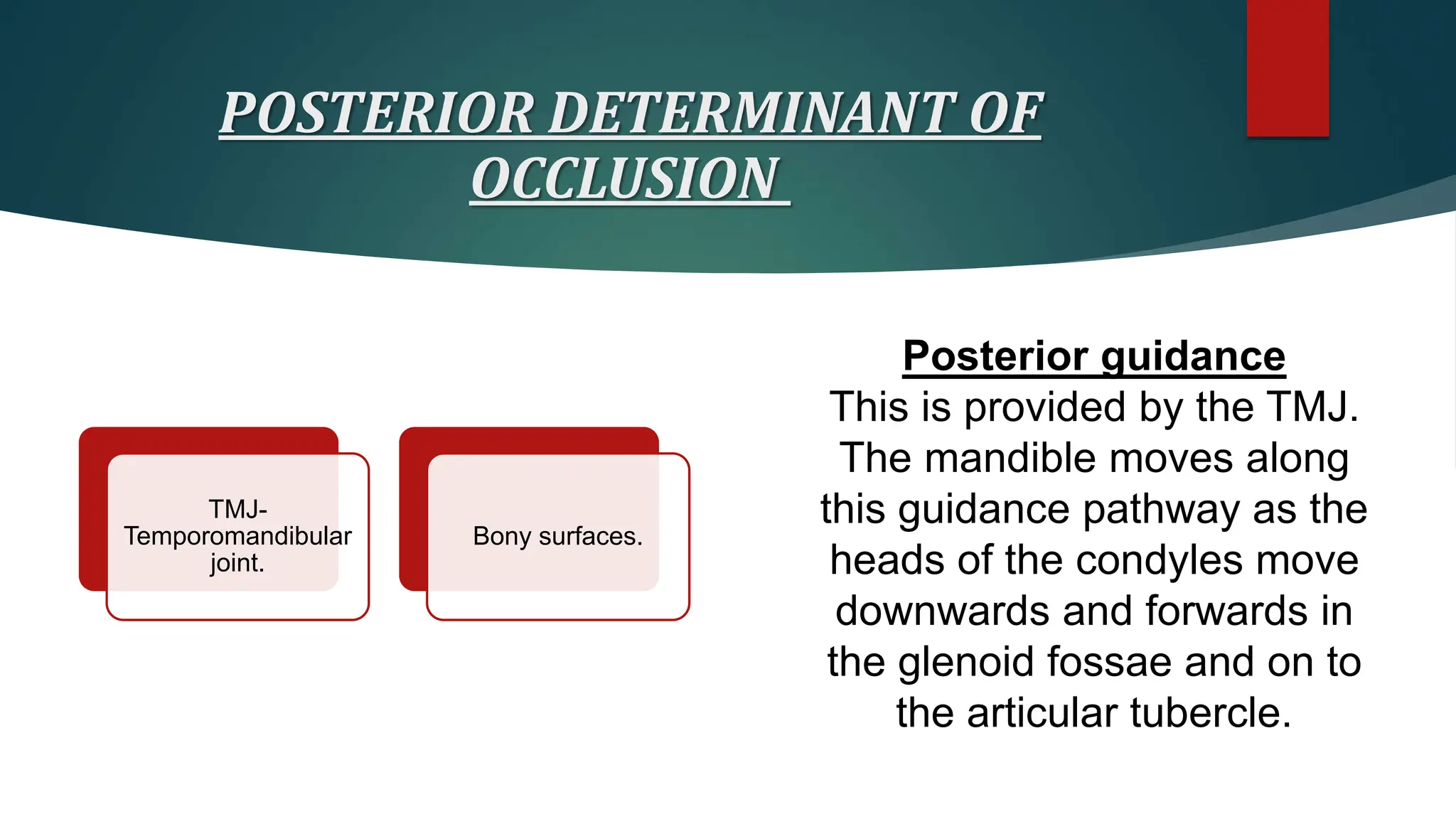 Dentistry pptx on topic of normal occlusion | PPTX