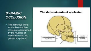 Dentistry pptx on topic of normal occlusion | PPTX