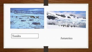 Tundra
Antarctica
 