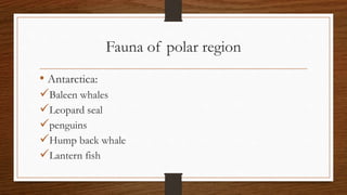 Fauna of polar region
• Antarctica:
Baleen whales
Leopard seal
penguins
Hump back whale
Lantern fish
 