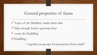 General properties of fauna
 Layer of fat (blubber) under their skin
Take enough food o generate heat
 some do Huddling
Huddling :
“ together in groups for protection from wind”.
 